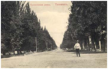 Пушкинская улица в начале ХХ века