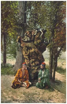 Священное дерево Кучкар-ата